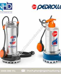 Bơm định lượng Pedrollo Positive Displacement Pumps D6, D12, D20