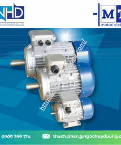 Đại lý động cơ điện cao cấp M.T. Motori Elettrici