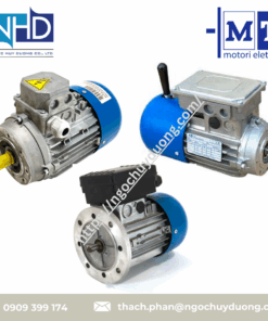 Động cơ tiêu chuẩn M.T. Motori Elettrici TN 160MA, TF 90L, MA 132M4, MF 160L4