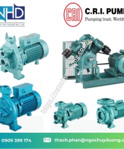 3 Bơm Jet Tự Mồi C.R.I Pump Shalo 0.75 kW