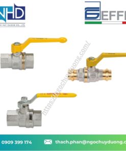 Van bi gas EFFEBI Athena 4210 Việt Nam